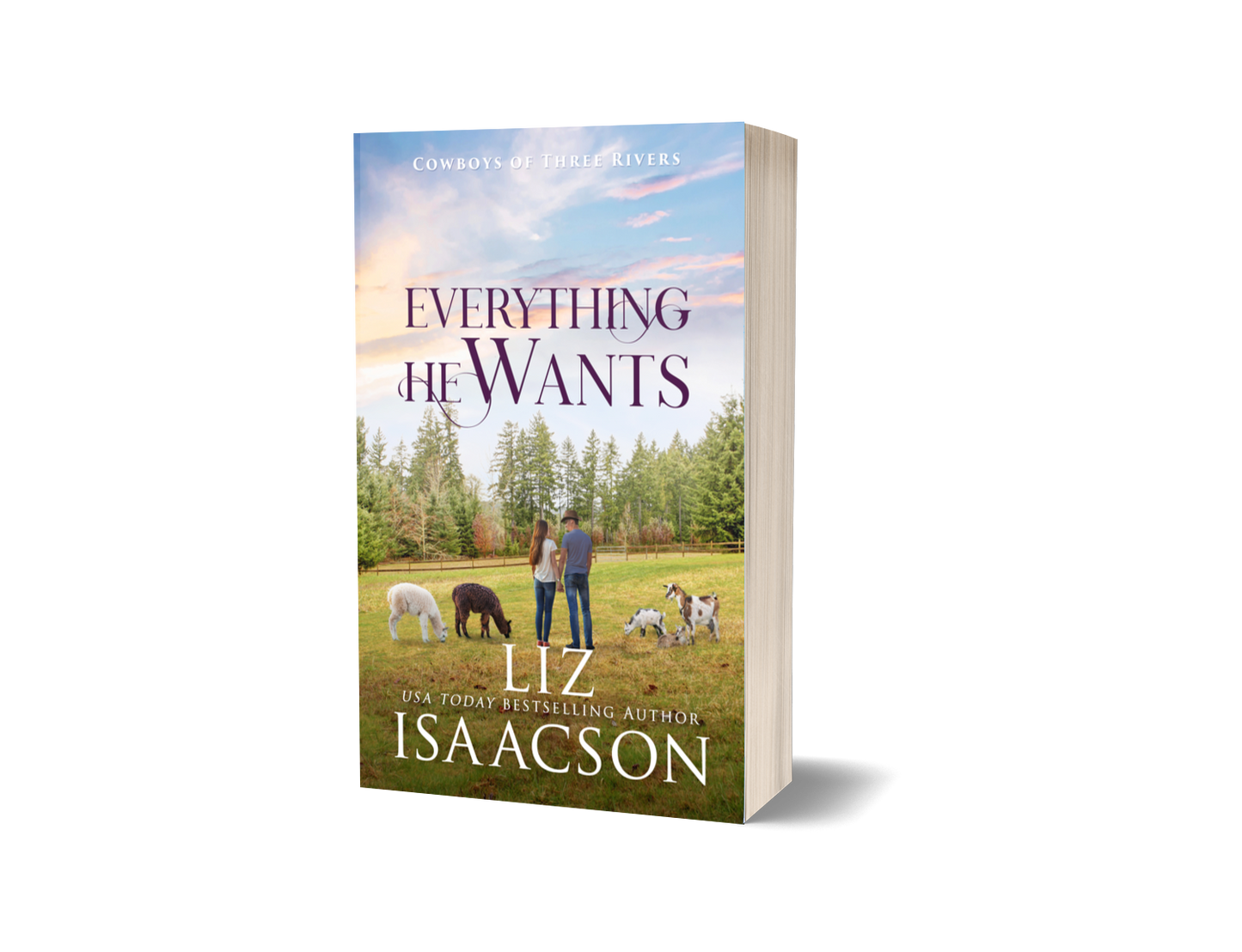 Book 9: Everything He Wants (Cowboys of Three Rivers)