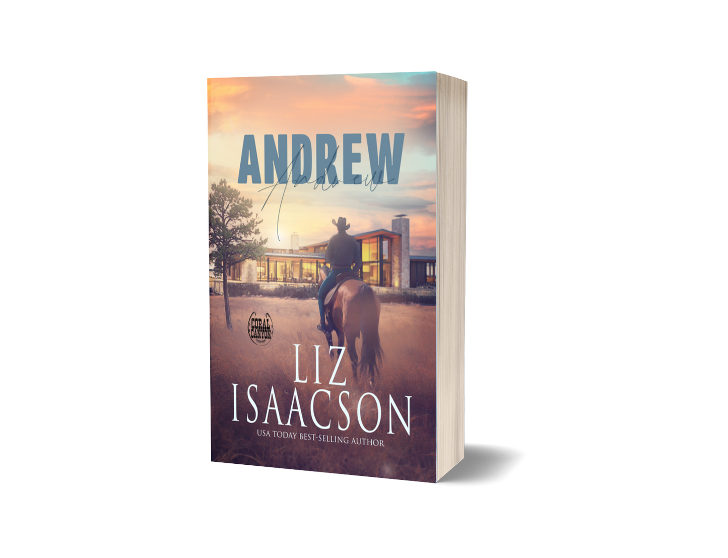 Book 3: Andrew (Christmas in Coral Canyon™)