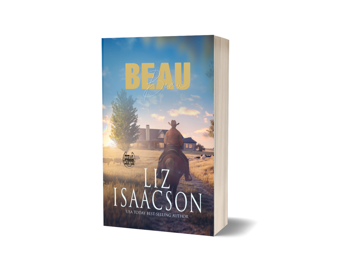 Book 4: Beau (Christmas in Coral Canyon™)