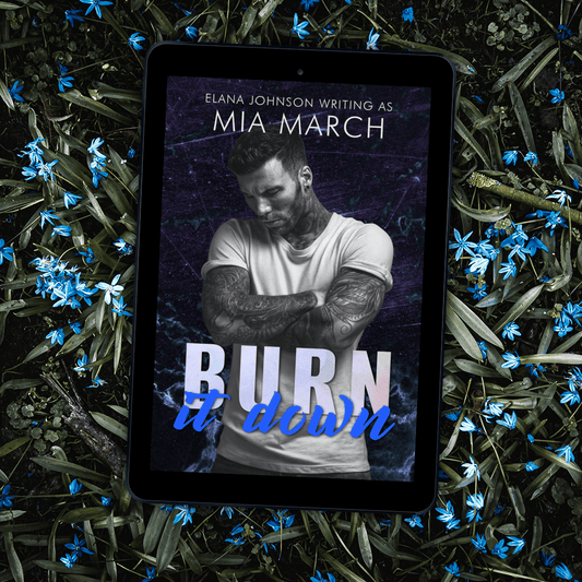 Book 1: Burn it Down (Sentinels Motorcycle Club Romantic Suspense)