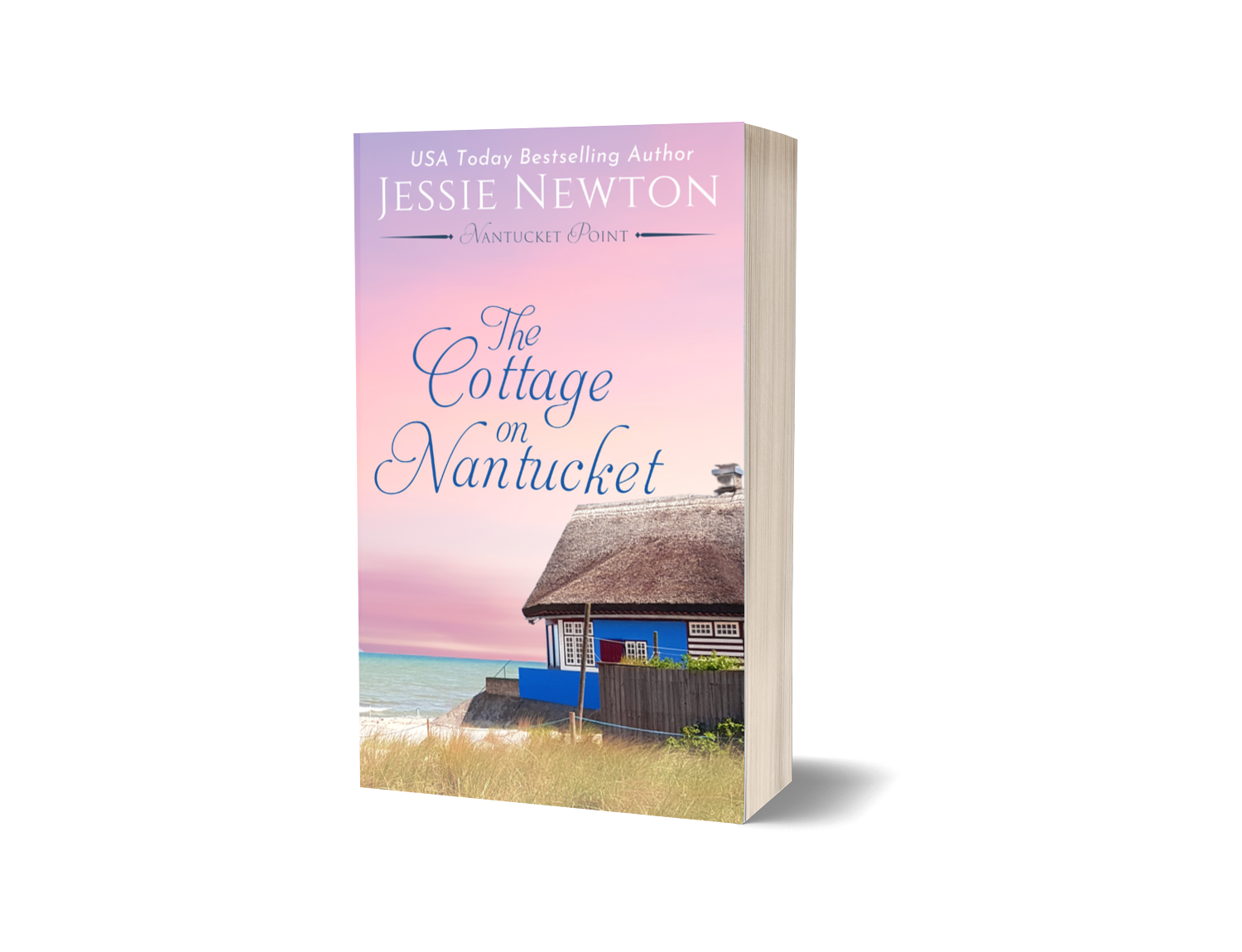 Nantucket Point Women's Fiction Mystery