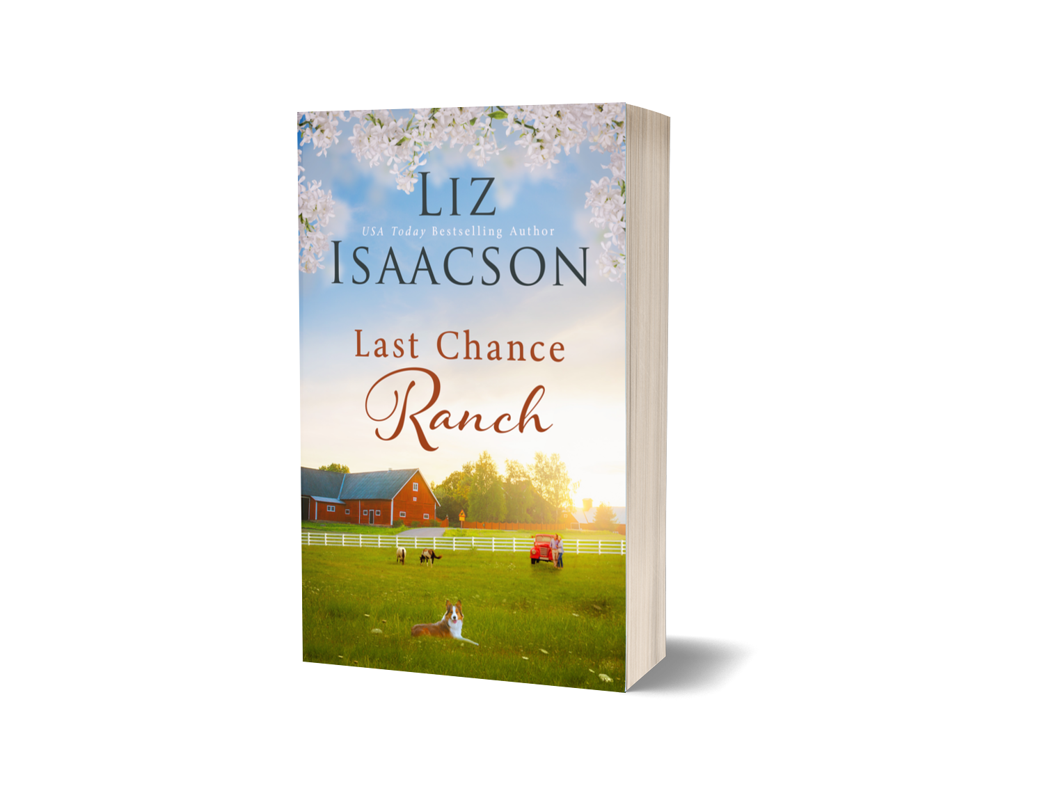 Last Chance Ranch Romance