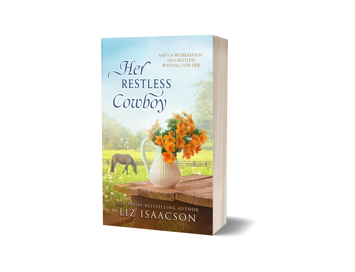 Steeple Ridge Farm Romance