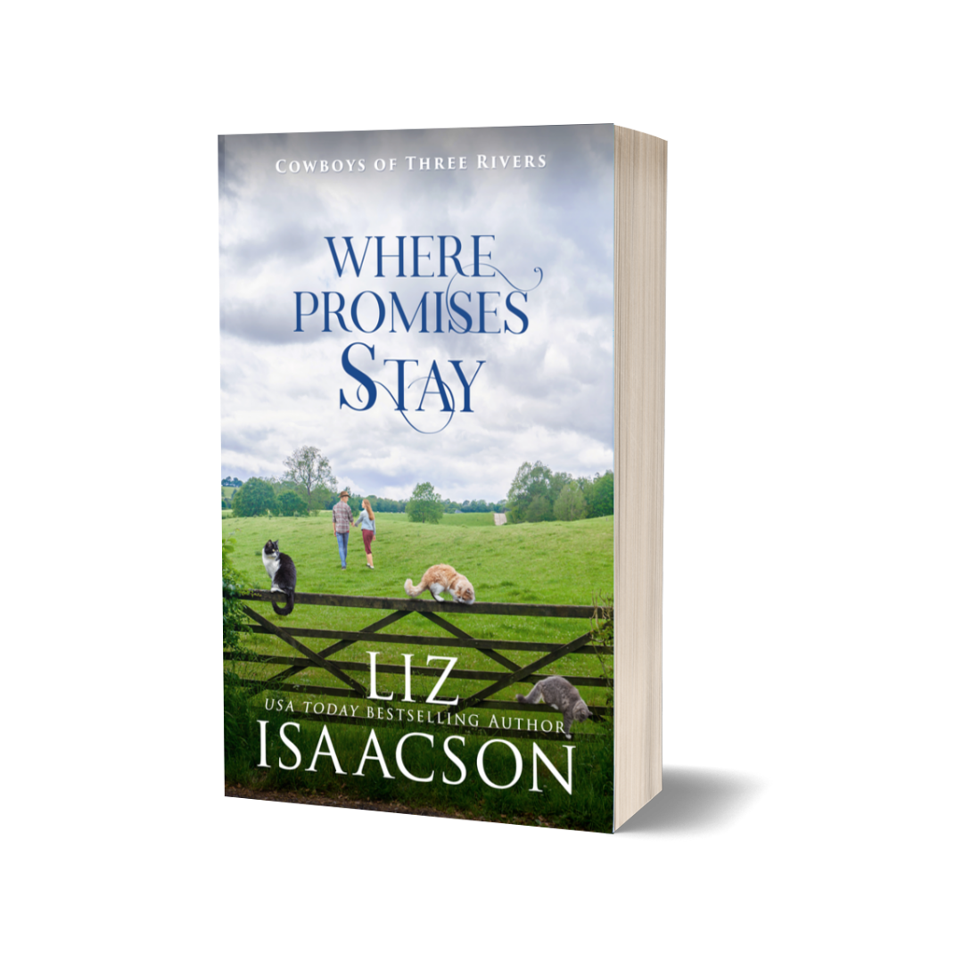 Book cover of 'Where Promises Stay' by Liz Isaacson with a pastoral scene on the cover.