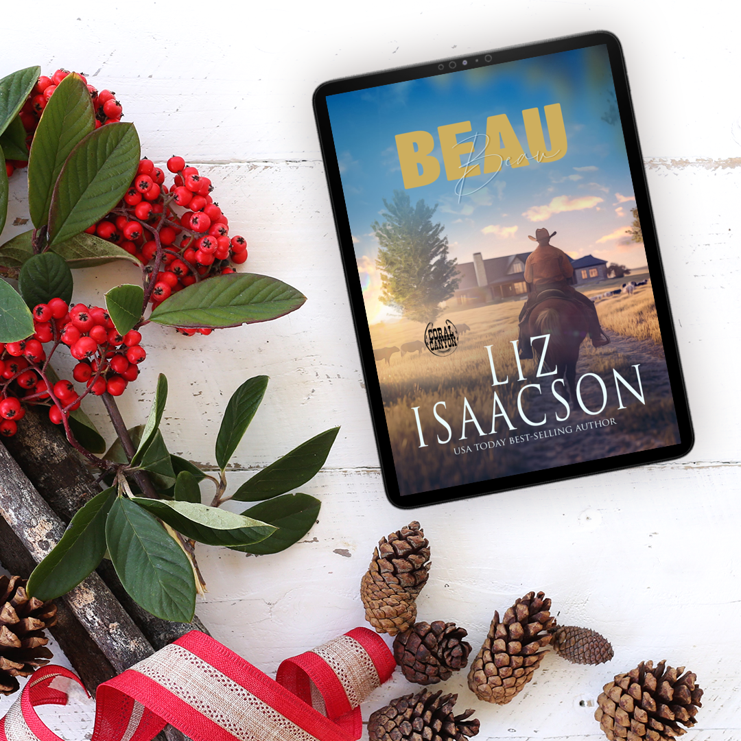 Book 4: Beau (Christmas in Coral Canyon™)