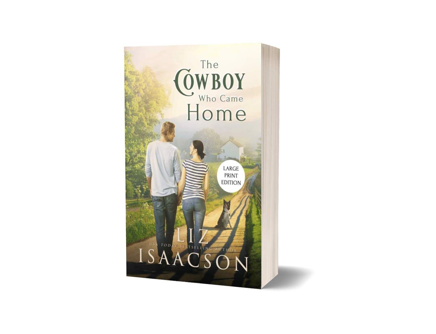 Book 1: The Cowboy Who Came Home (Second Generation in Three Rivers Ranch Romance™)