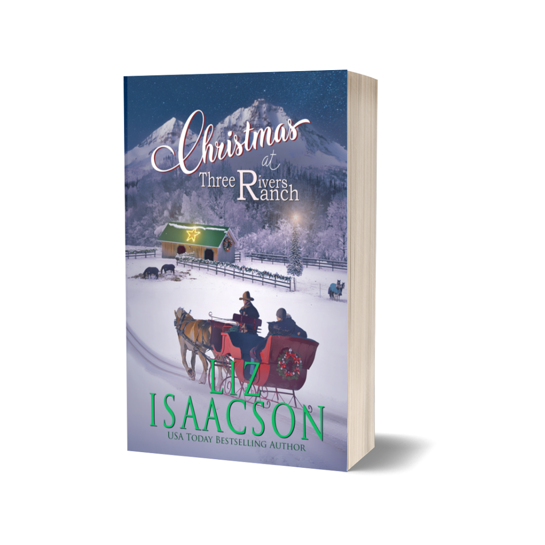 Christmas at Three Rivers Holiday Edition Paperback - Digitally Signed