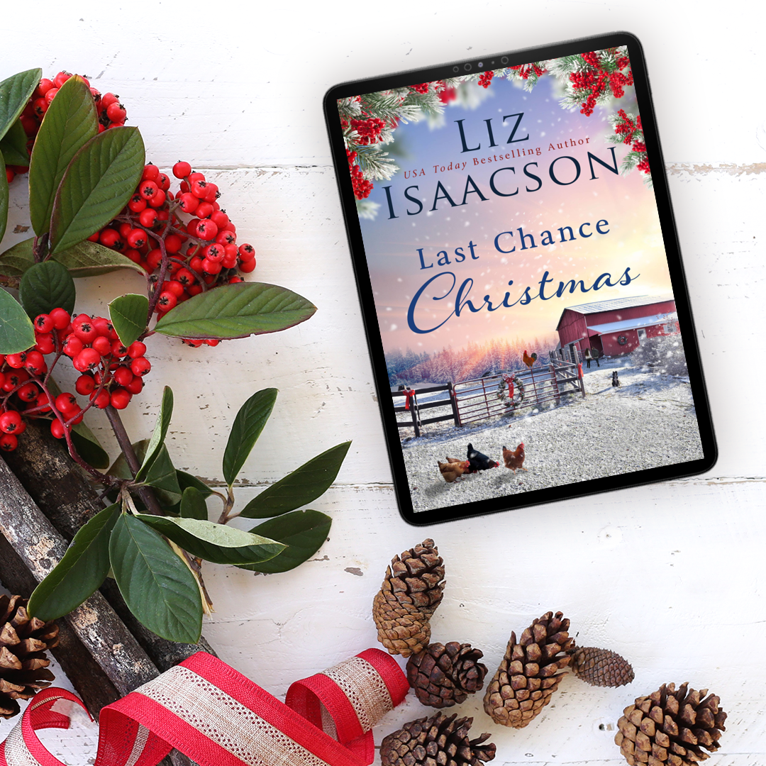 Book 6: Last Chance Christmas eBook (Last Chance Ranch Romance)