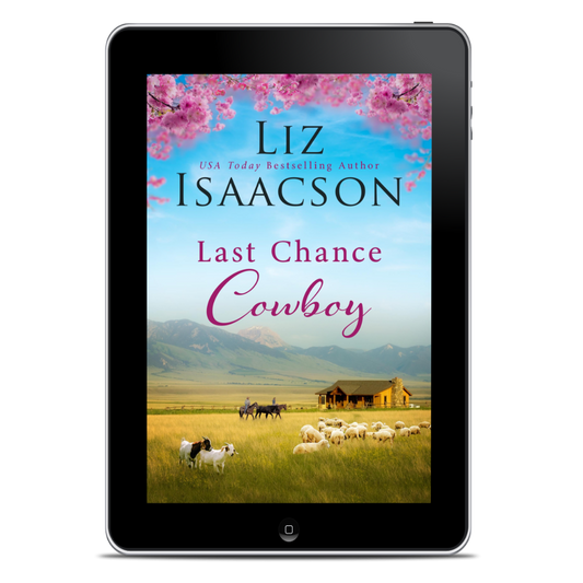 Book 2: Last Chance Cowboy (Last Chance Ranch Romance)