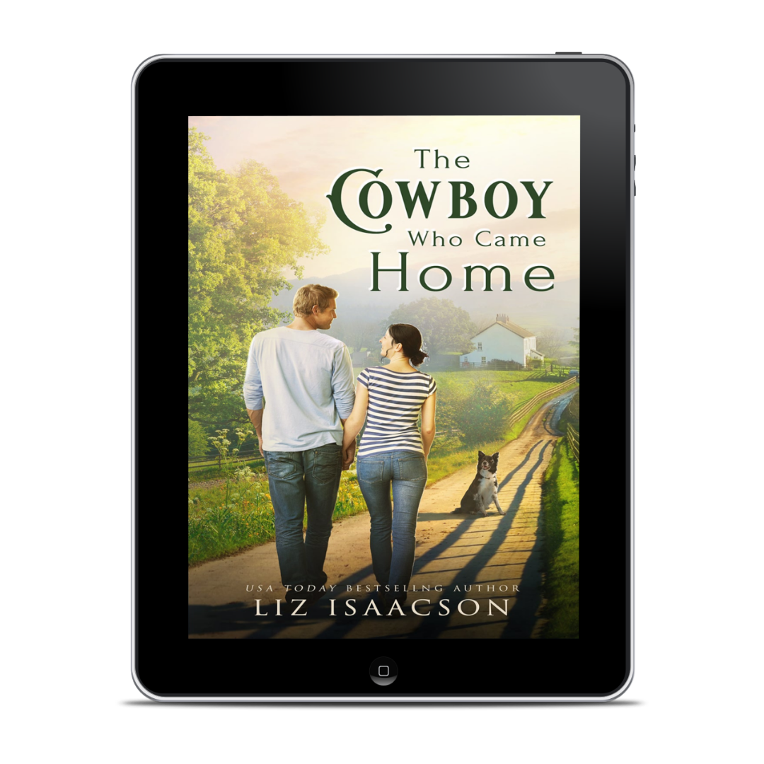 Book 2: The Cowboy Who Looked Again (Second Generation in Three Rivers ...