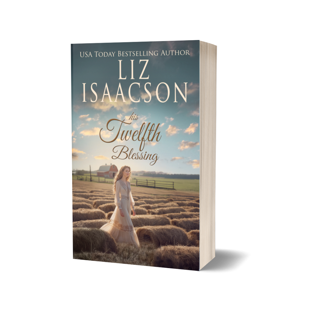 Book titled 'The Twelfth Blessing' by Liz Isaacson with a woman in a field on the cover.