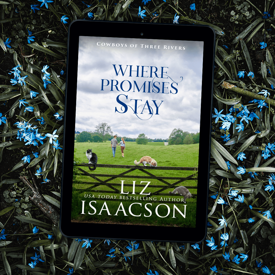 Book 11: Where Promises Stay PREORDER (Cowboys of Three Rivers)
